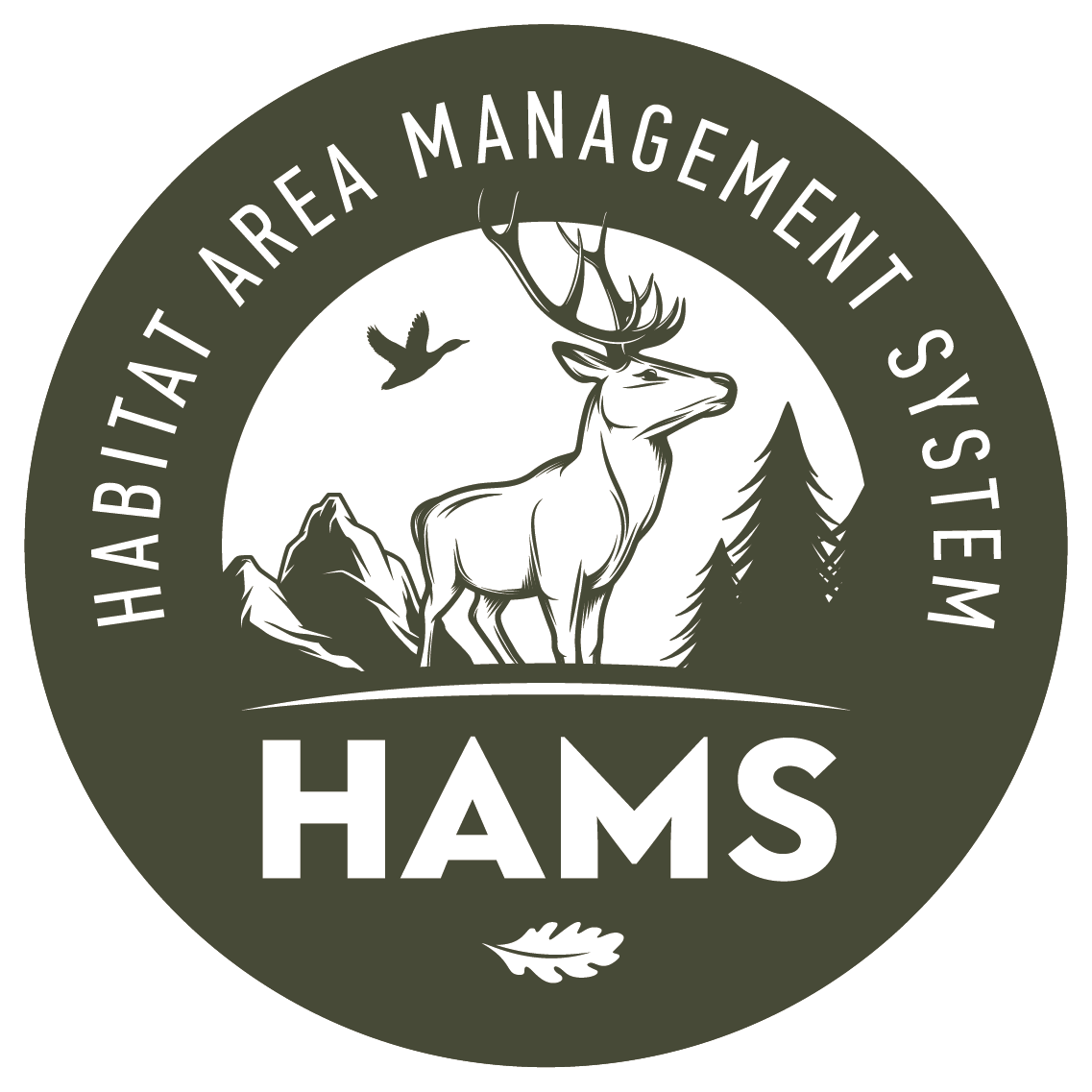 HAMS Logo